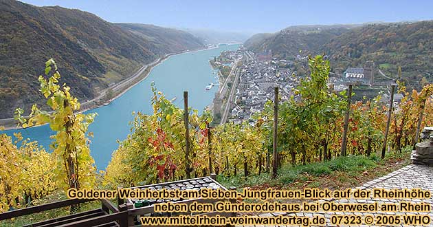 Goldener Weinherbst am Sieben-Jungfrauen-Blick auf der Rheinhhe neben dem Gnderrodehaus bei Oberwesel am Rhein