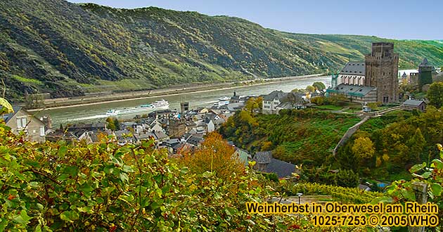 Oberwesel am Rhein, Weinherbst an der St.-Martins-Kirche